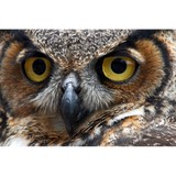Nature's Echo Environmental Education Group - Other in Pine Mountain