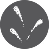 International Greetings USA - Other in Midway