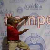American Pest Control Inc - Pest Control in Greensboro