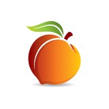 Peachtree Data Inc - Data Processing Services in Duluth