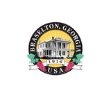 Braselton City Clerk - Other in Braselton
