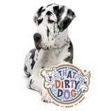 Dtails Pet Spa Inc - Other in Suwanee