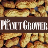 Peanut Grower - Other in Tifton