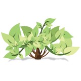 Green Solution Group - Other in Buford