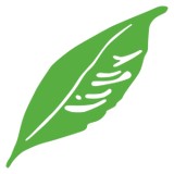 Mint Julep - Women’s Clothing in Atlanta