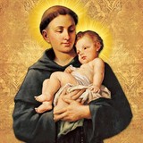 Companions Of St Anthony - Other in Jonesboro