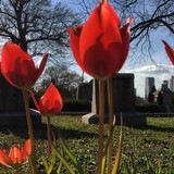 Oakland Cemetery - Funeral Services & Cemeteries in Atlanta
