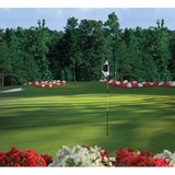 Govenors Towne Club Security - Other in Acworth