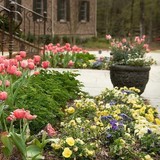 Classic Landscapes - Landscaping in Hampton