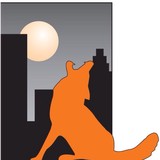 Urban Wildlife Control - Pest Control in Canton