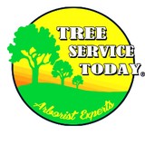 Tree Removal Atlanta - Tree Services in Atlanta