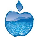 AppleRidge Pool & Spa, Inc. - Other in Acworth