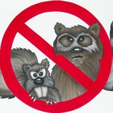 Adcocks Rid A Critter - Pest Control in Columbus