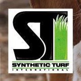 Synthetic Turf International of Atlanta - Golf in Cumming