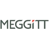 Meggitt Training Systems Inc - Other in Suwanee
