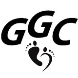 Georgia Game Changers LLC - Other in Richmond Hill