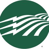 Sawnee Electric Membership - Other in Cumming