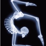 Harmony Chiropractic Center - Chiropractors in Atlanta