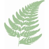 Vision Landscaping & Assoc - Landscaping in Watkinsville