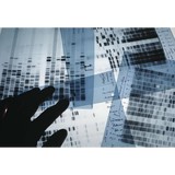 Detect Lab Drug, Alcohol & Legal DNA Paternity Testing - Other in Conyers