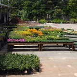 Frank A Smith Nurseries Inc - Other in Tucker