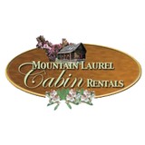 Mountain Laurel Cabin Rental - Other in Ellijay
