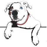Howie's Hounds - Animal Boarding/Pet Boarding in Atlanta