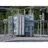 Oasis Environmental Group LLC - Other in Pearl City