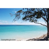 Aloha Hotels - Hotels in Honolulu