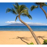 Maui Accommodations - Other in Makawao