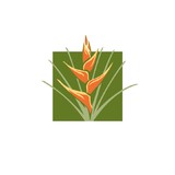 Choy Malcolm M DDS - Dentists in Honolulu