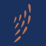 Hakone Restaurant - Japanese in Honolulu