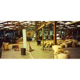 Old Hawaiian Coffee - Other in Captain Cook