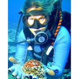 Social Flutterby - Marketing in Kihei