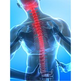 Hawaii's Family Chiro Center - Chiropractors in Honolulu