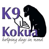 K9 Kokua - Other in Waianae