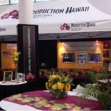 Production Hawaii - Party Supplies in Honolulu