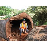 Steve Nimz And Associates L L C - Business Consulting in Honolulu