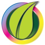 Premiere Design Group - Other in Ewa Beach