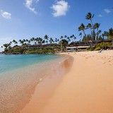 Sea House Restaurant - Restaurants in Lahaina