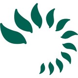 Tracy Wong Ins Solutions LLC - Insurance in Honolulu