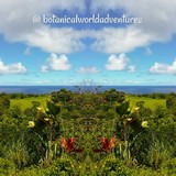 Botanical World Adventures at World Botanical Gardens & Waterfalls - Other in Hakalau