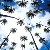 Keith Ketchum Photography - Commercial Photography in Kapaa