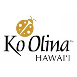 Resort Group LLC - Business Consulting in Honolulu