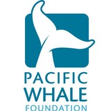 Pacific Whale Foundation - Other in Wailuku