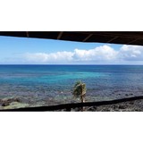 Ronquillo Arlene - Other in Haleiwa