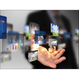 STRATEGY Global Business Development - Business Consulting in Honolulu