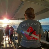 Dive Oahu - Business Consulting in Honolulu
