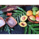 Paradisimo Tropical Spa LLC - Other in Pahoa