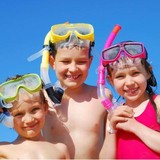 Boss Frog's Dive & Surf - Central Kihei - Other in Kihei